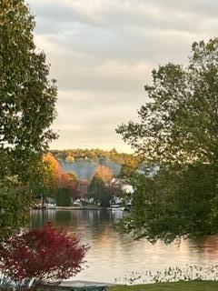 32 Shore Drive Tunkhannock, PA 18657 - Photo 29 of 30 686c5b61-9753-42cb-9c5d-90c6d155cc41