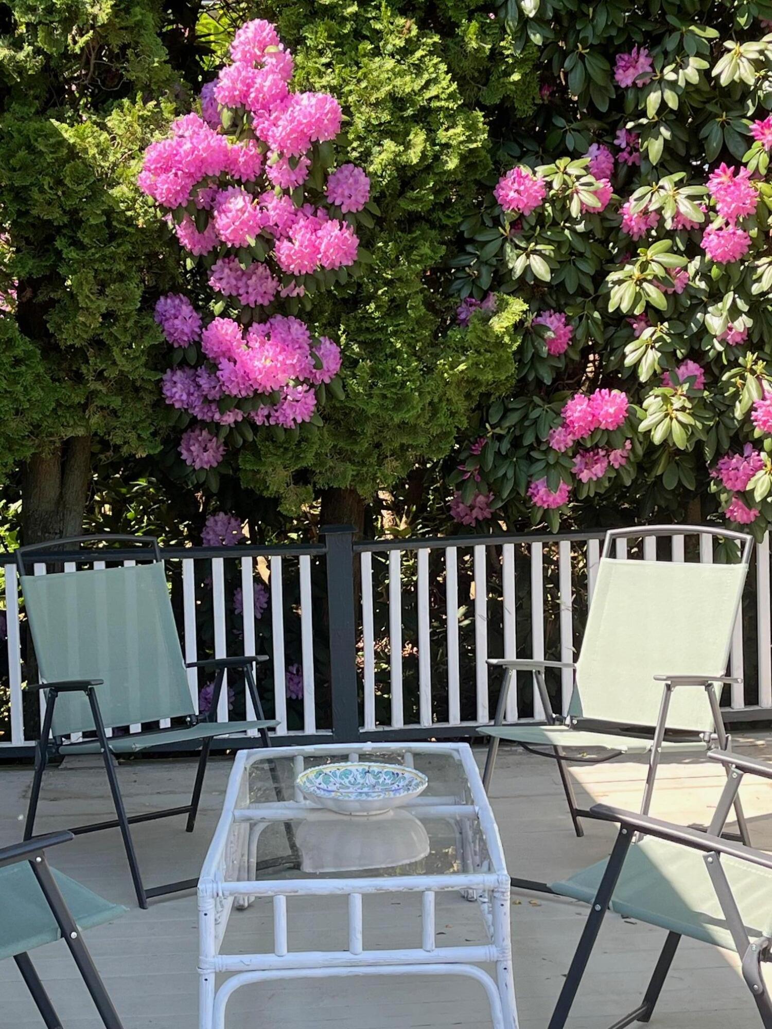 32 Shore Drive Tunkhannock, PA 18657 - Photo 8 of 30 IMG_9285