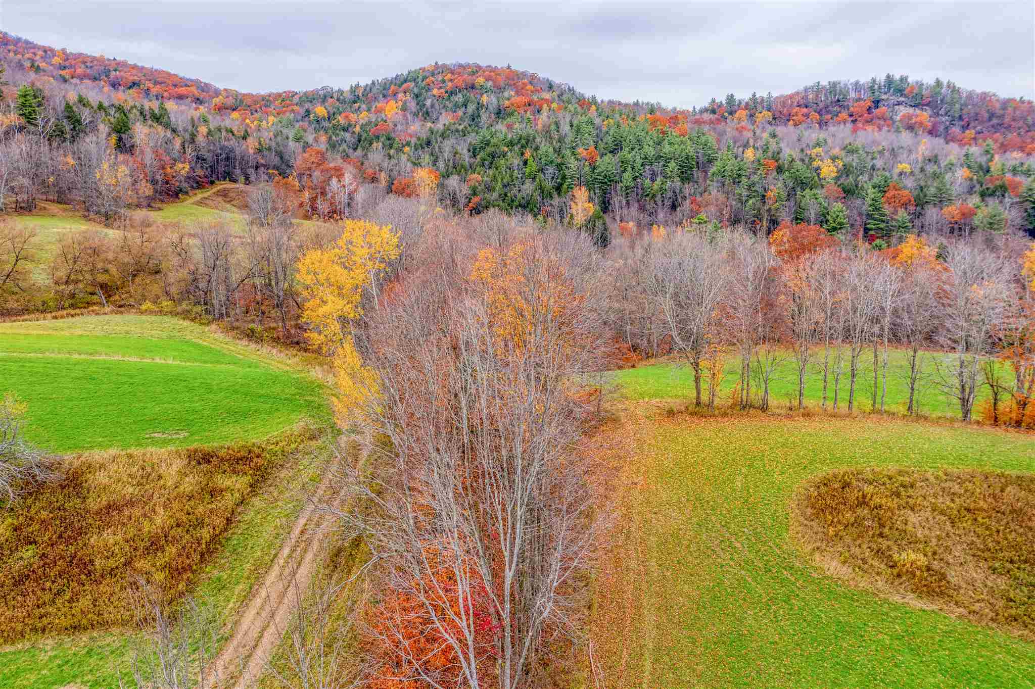 1500 Dugway Road Richmond, VT 05477 - Photo 14 of 21 Gallery Image 14