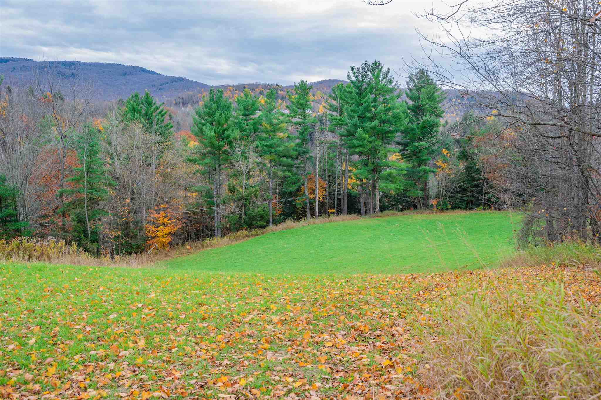 1500 Dugway Road Richmond, VT 05477 - Photo 5 of 21 Gallery Image 5