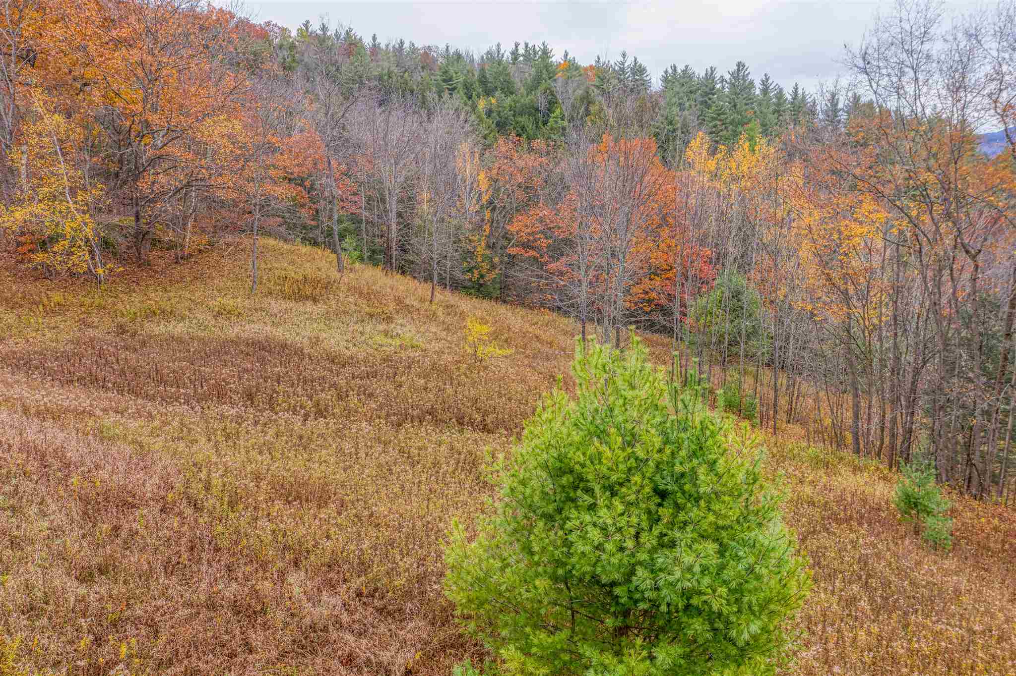 1500 Dugway Road Richmond, VT 05477 - Photo 6 of 21 Gallery Image 6