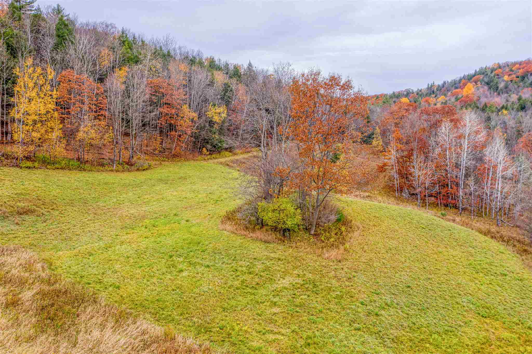 1500 Dugway Road Richmond, VT 05477 - Photo 10 of 21 Gallery Image 10