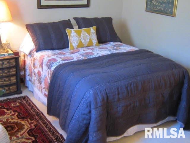 1340 Vines Road Cobden, IL 62920 - Photo 21 of 40 Gallery Image 21