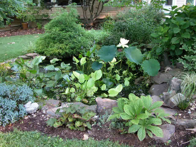 1340 Vines Road Cobden, IL 62920 - Photo 40 of 40 Gallery Image 40