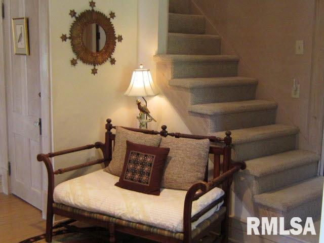 1340 Vines Road Cobden, IL 62920 - Photo 7 of 40 Gallery Image 7