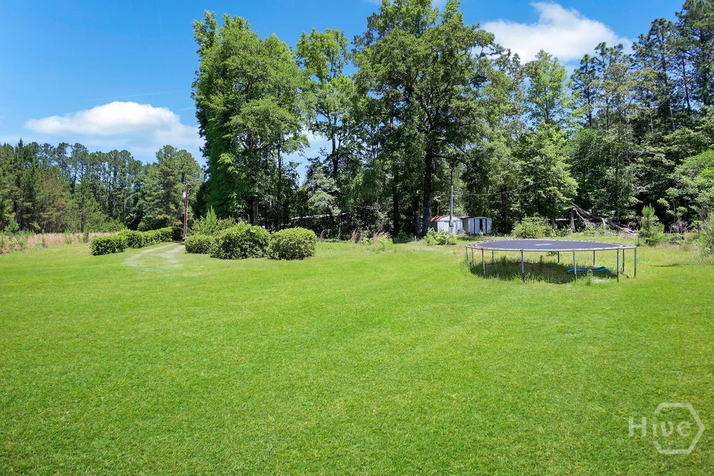 443 Reiser Road Springfield, GA 31329 - Photo 45 of 75 Grass enhanced for photos