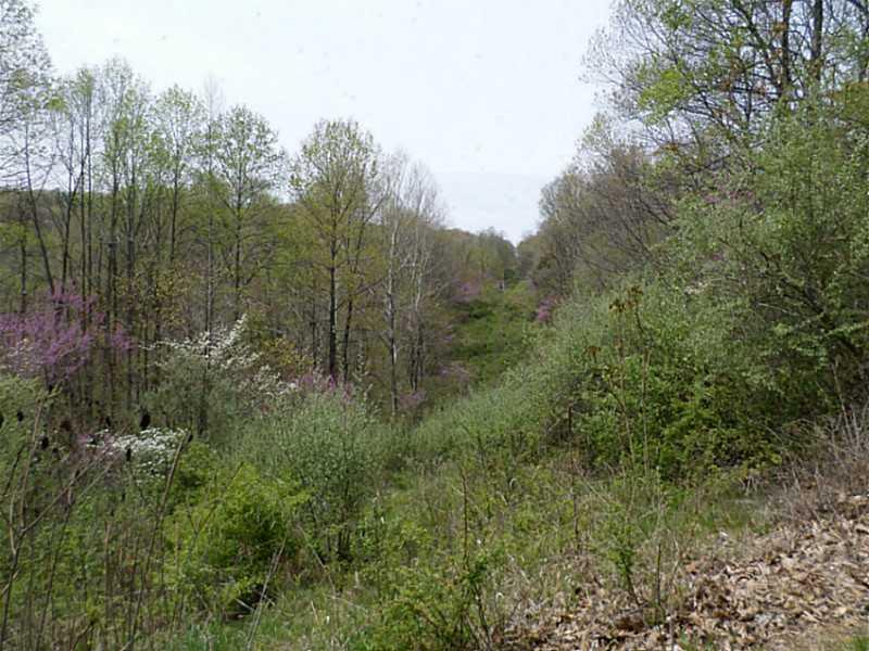 910 Catholic Cemetery Road Martinsville, IN 46151 - Photo 14 of 19