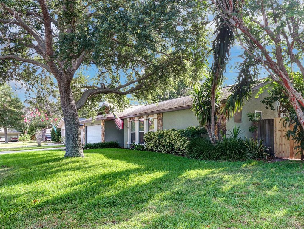 2021 Todd Road Clearwater, FL 33763 - Photo 2 of 59