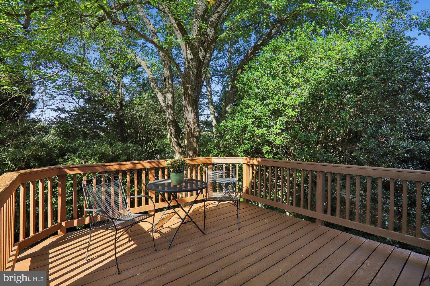 4622 Woodfield Road Bethesda, MD 20814 - Photo 47 of 75 Deck