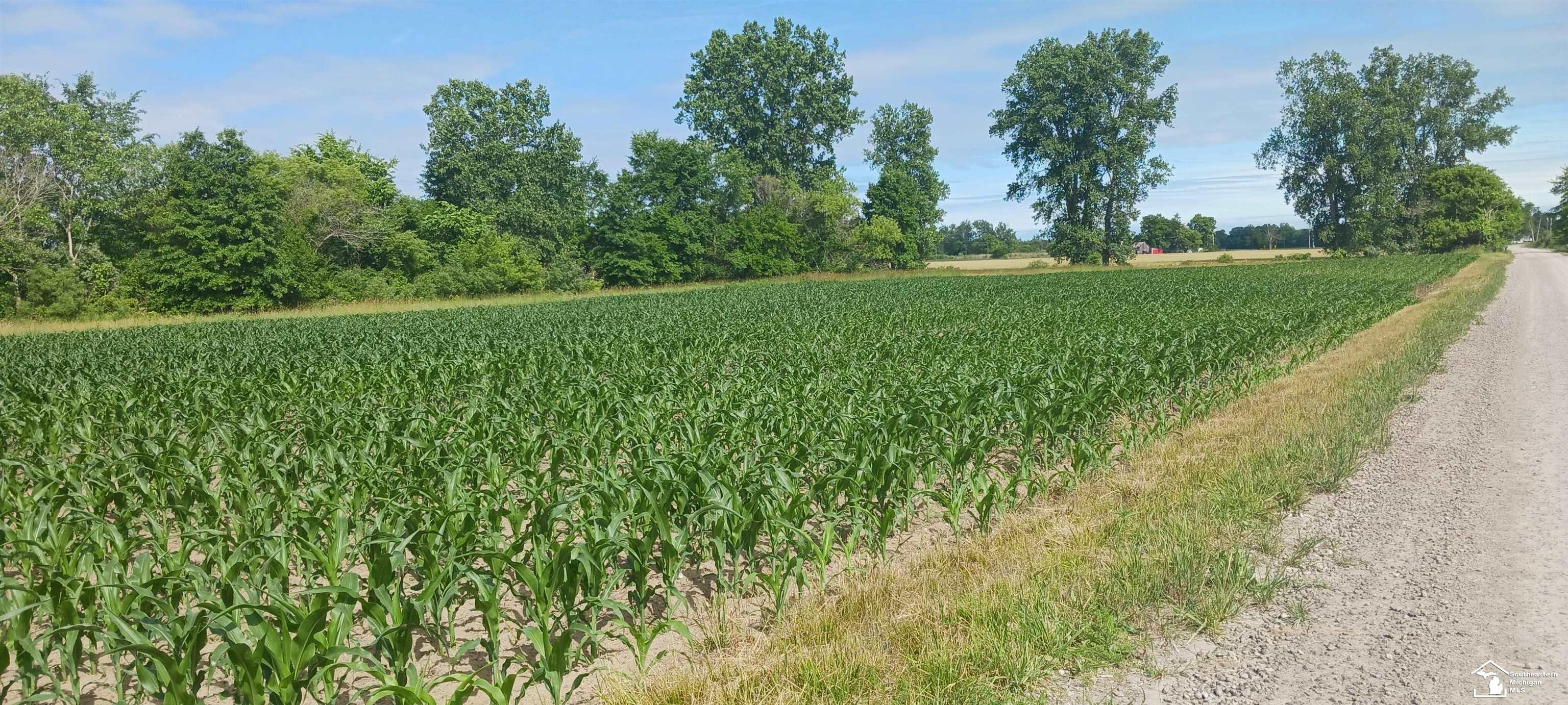 9129 Hoffman Road Maybee, MI 48159 - Photo 5 of 9