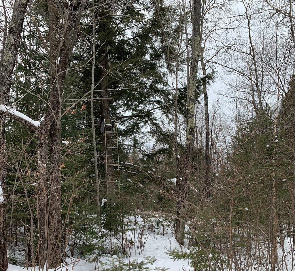 0 Other Butternut, WI 54514 - Photo 16 of 21