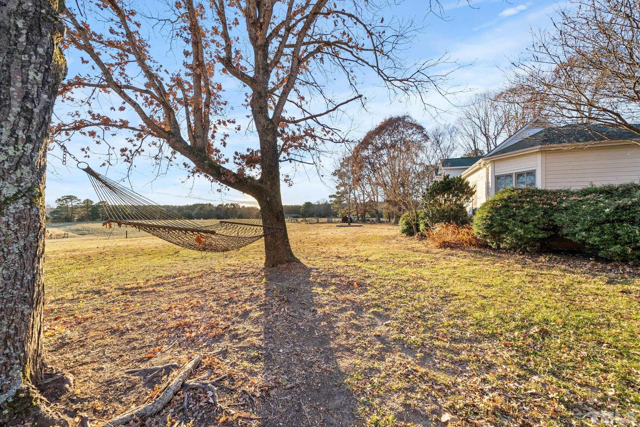 1616 Carl Durham Road Chapel Hill, NC 27516 - Photo 49 of 56 a large tree in the middle of a yard