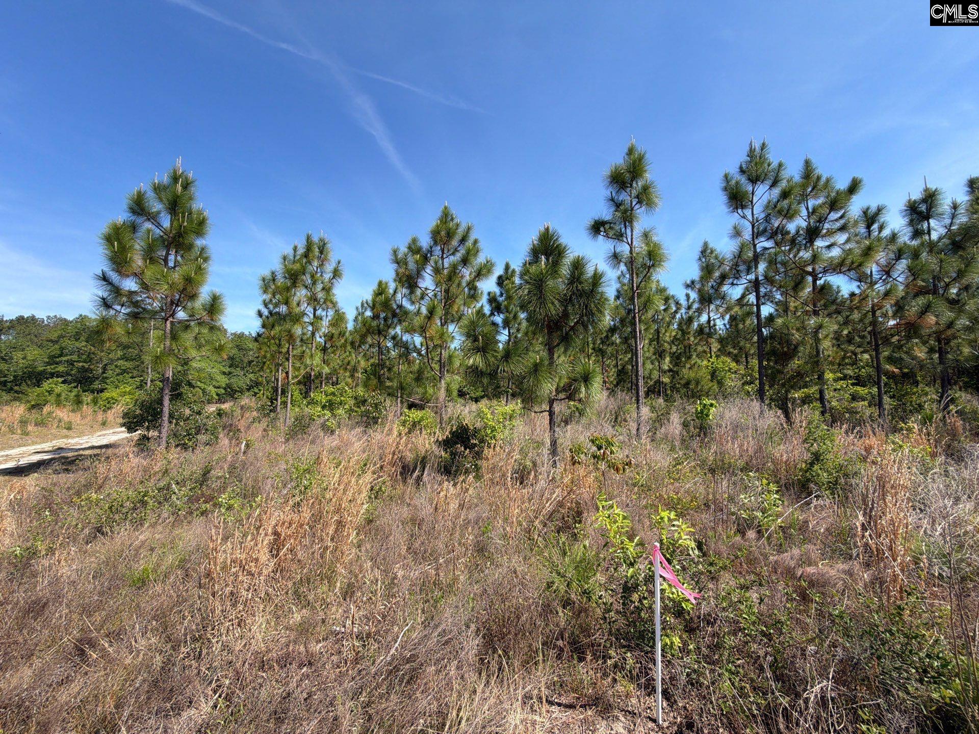 2 Holstein Road Monetta, SC 29105 - Photo 10 of 14