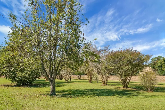 $1,000,000 | 1763 Kingstree Highway, Manning, SC 29102