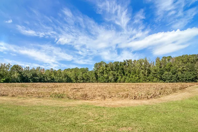 $1,000,000 | 1763 Kingstree Highway, Manning, SC 29102