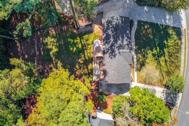 a view of a garden with plants