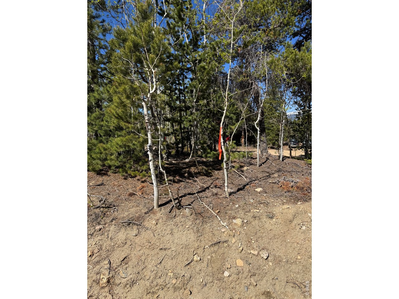 0 Randall Ridge Road Black Hawk, CO 80422 - Photo 10 of 13