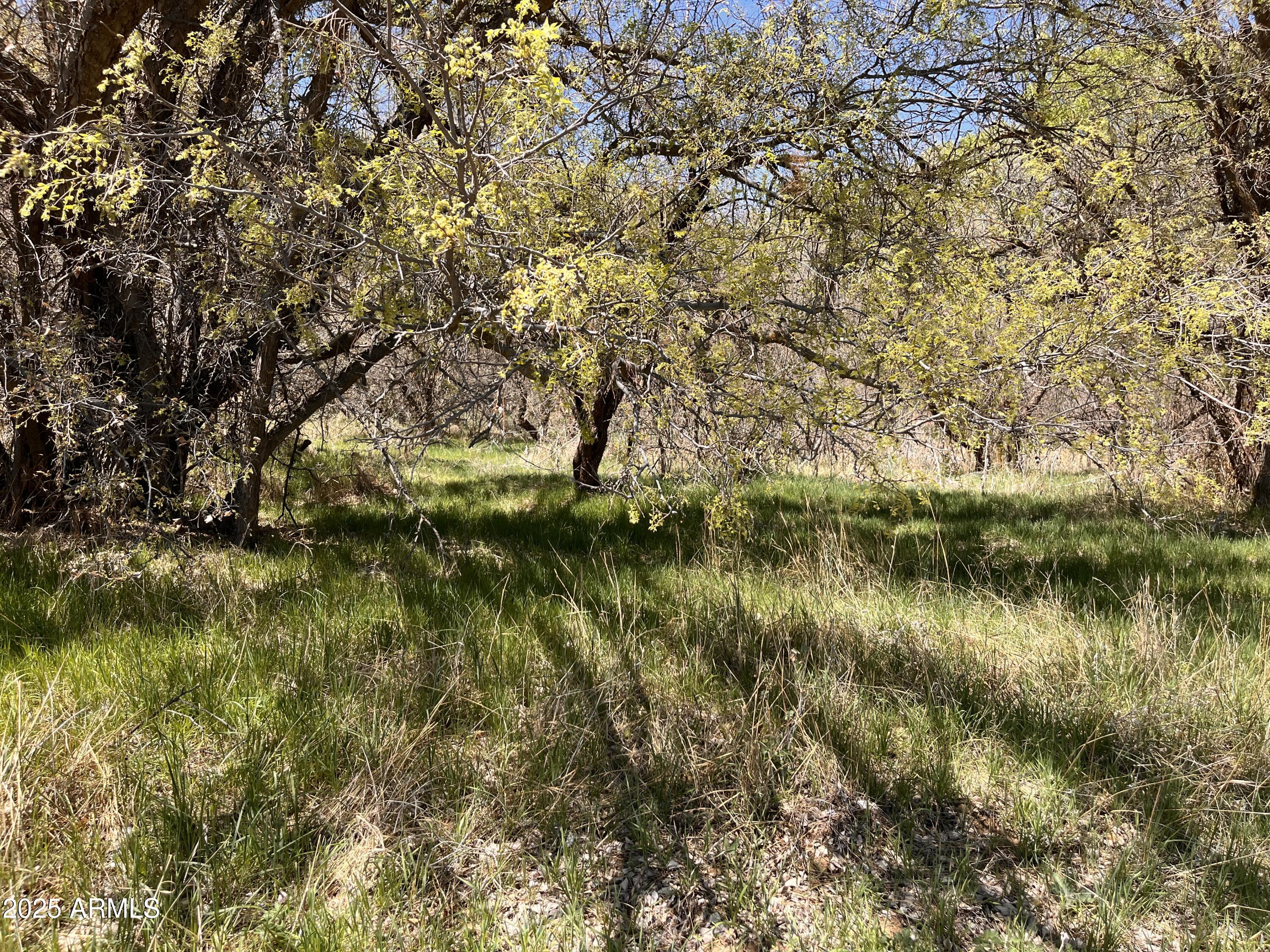 2900 Old Skull Valley Road Skull Valley, AZ 86338 - Photo 2 of 21 IMG_0206