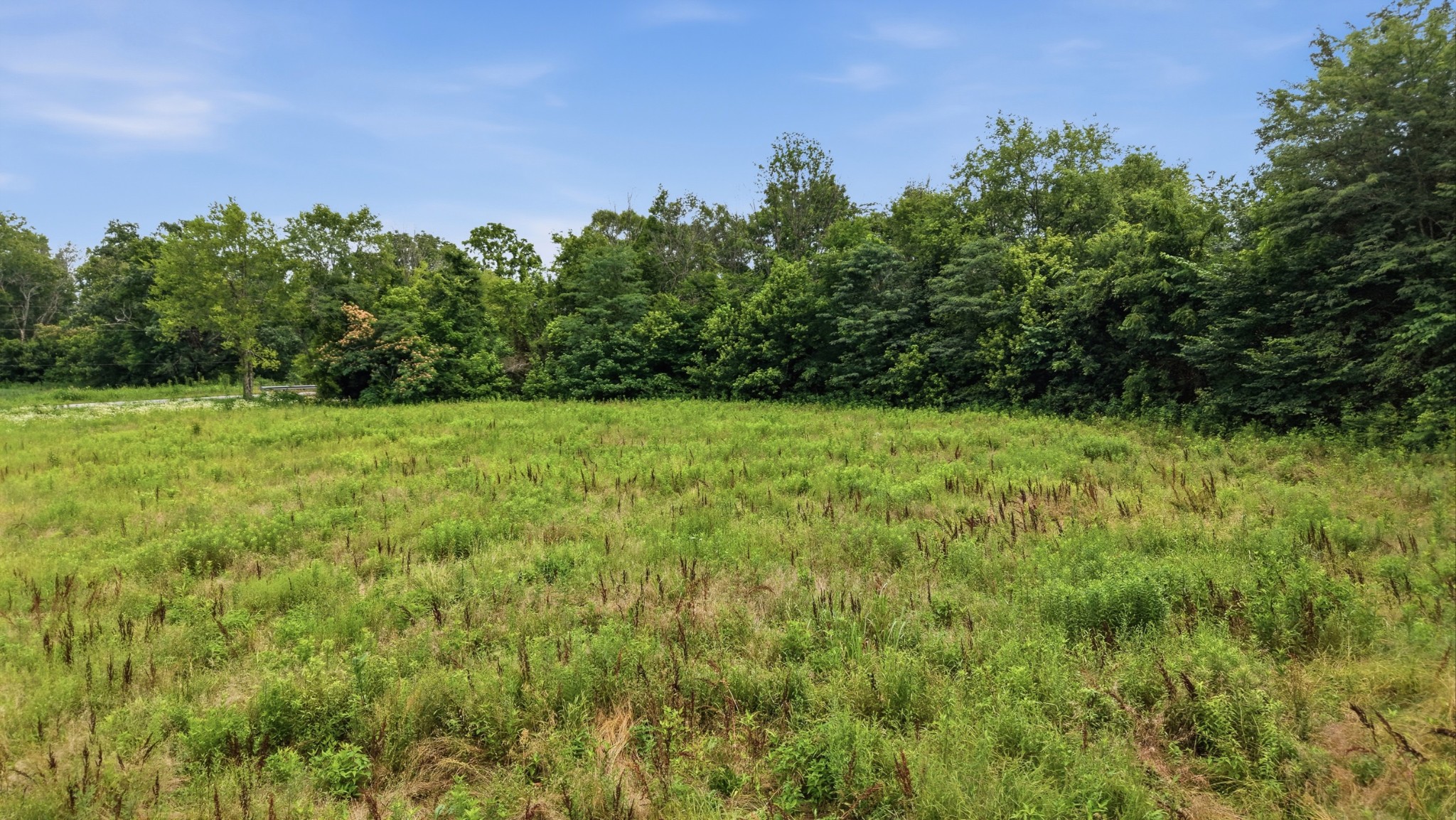 0 Hickory Grove Road Morrison, TN 37357 - Photo 8 of 15