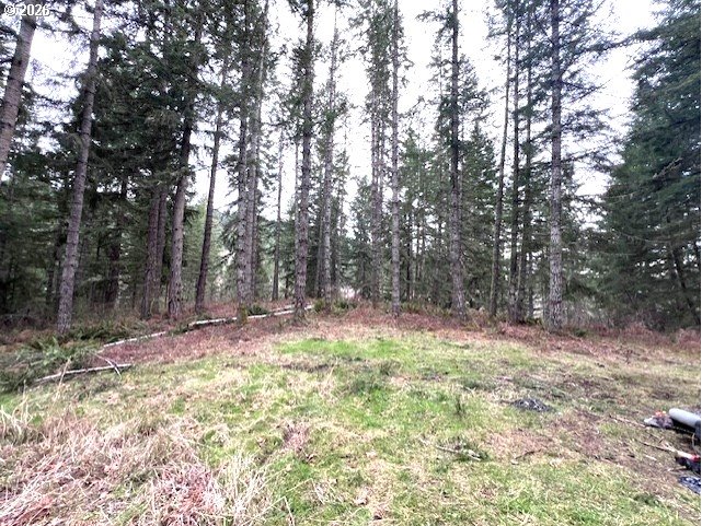 47 Highway 47 Vernonia, OR 97064 - Photo 1 of 24 a fire hydrant in the middle of a field