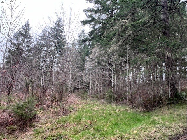 47 Highway 47 Vernonia, OR 97064 - Photo 11 of 24 a view of a yard with large trees