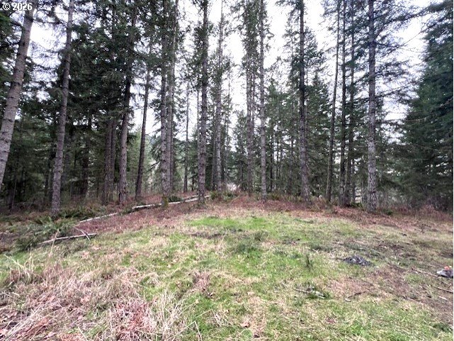 47 Highway 47 Vernonia, OR 97064 - Photo 12 of 24 a view of outdoor space with trees
