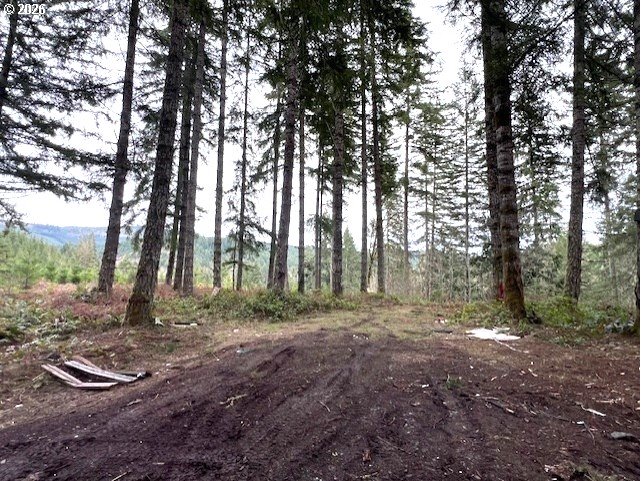 47 Highway 47 Vernonia, OR 97064 - Photo 14 of 24 a view of outdoor space with green space