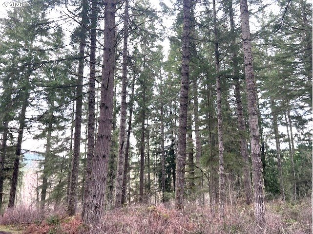 47 Highway 47 Vernonia, OR 97064 - Photo 15 of 24 a view of forest
