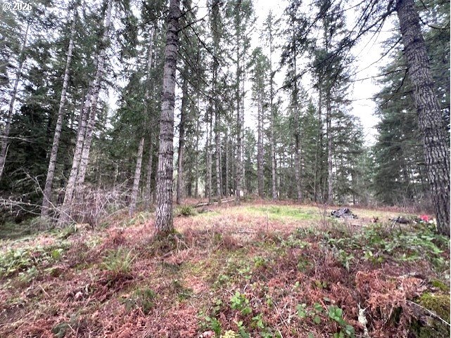 47 Highway 47 Vernonia, OR 97064 - Photo 16 of 24 a view of outdoor space with trees