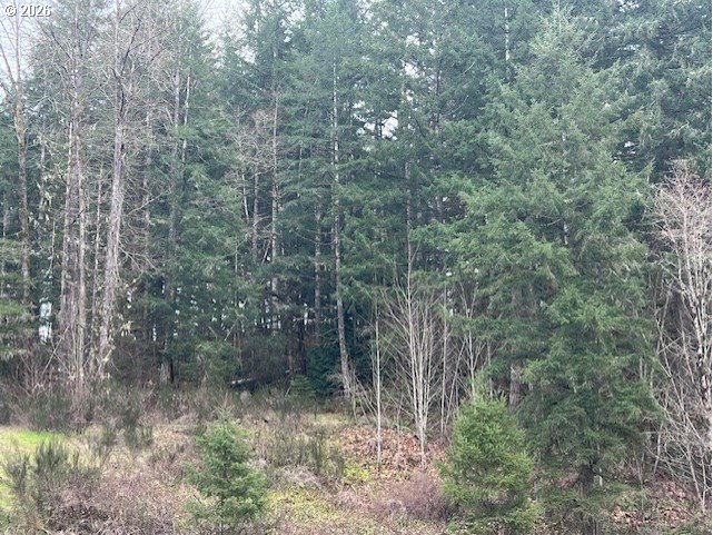 47 Highway 47 Vernonia, OR 97064 - Photo 17 of 24 a view of a forest with trees and bushes