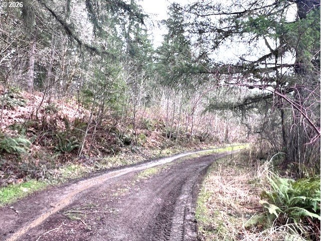47 Highway 47 Vernonia, OR 97064 - Photo 20 of 24 a view of a yard with plants and trees