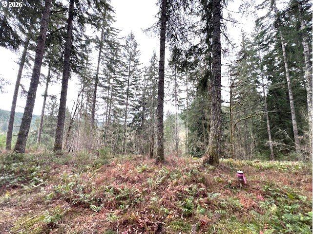 47 Highway 47 Vernonia, OR 97064 - Photo 2 of 24 a backyard of a house with lots of green space