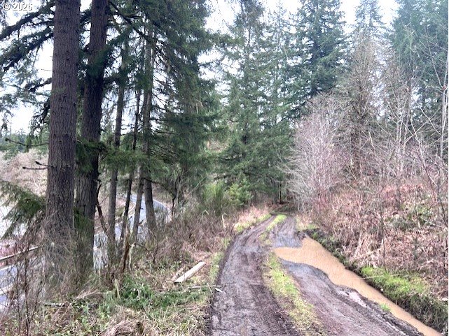 47 Highway 47 Vernonia, OR 97064 - Photo 21 of 24 a view of a yard with plants and trees