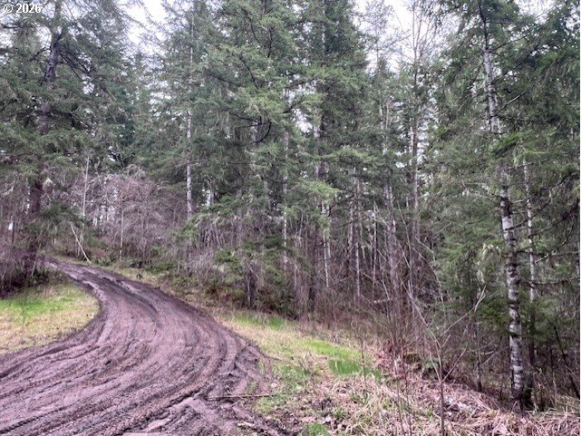 47 Highway 47 Vernonia, OR 97064 - Photo 22 of 24 a view of a yard with large trees
