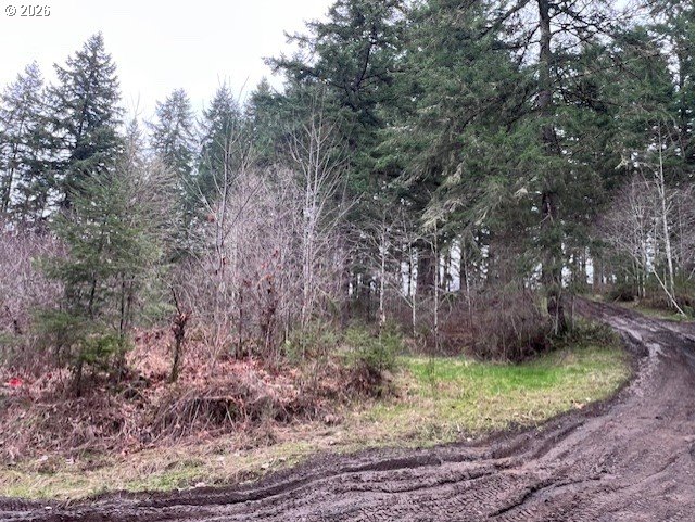 47 Highway 47 Vernonia, OR 97064 - Photo 23 of 24 a view of backyard with green space