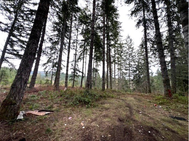 47 Highway 47 Vernonia, OR 97064 - Photo 4 of 24 a view of a forest with trees in the background