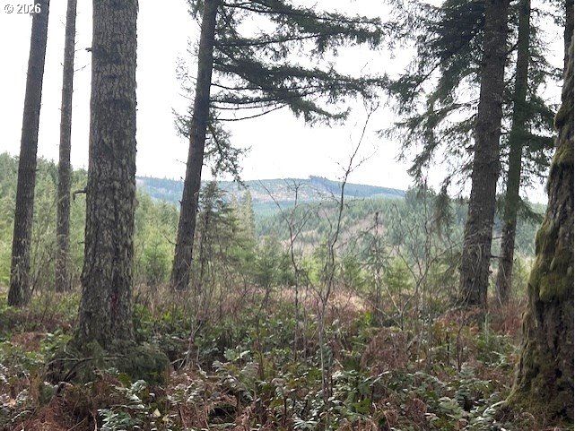47 Highway 47 Vernonia, OR 97064 - Photo 5 of 24 a view of forest