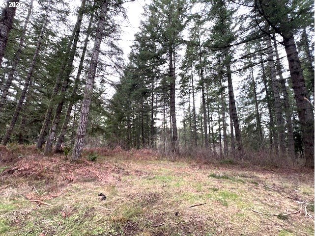 47 Highway 47 Vernonia, OR 97064 - Photo 6 of 24 a backyard of a house with lots of trees