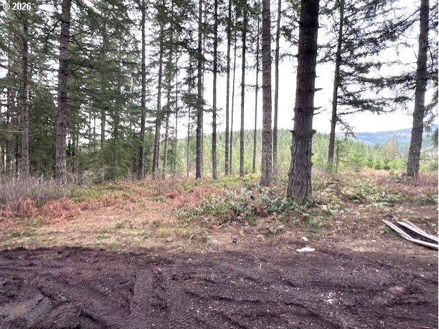 47 Highway 47 Vernonia, OR 97064 - Photo 7 of 24 a view of backyard with green space