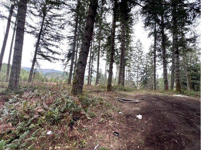 47 Highway 47 Vernonia, OR 97064 - Photo 8 of 24 a view of a forest with trees in the background