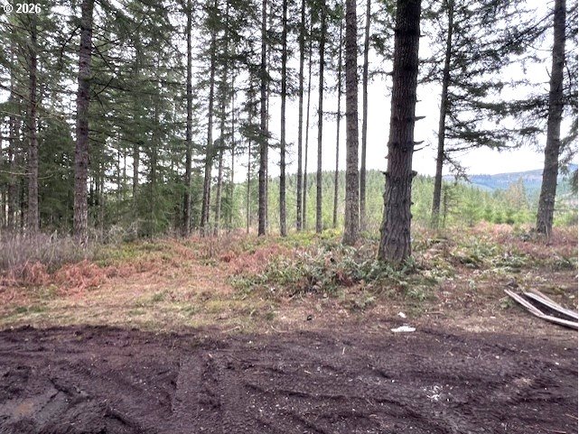 47 Highway 47 Vernonia, OR 97064 - Photo 9 of 24 a view of outdoor space with lots of green space