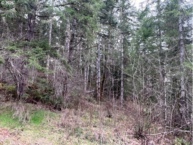 47 Highway 47 Vernonia, OR 97064 - Photo 10 of 24 a view of a forest with trees in the background