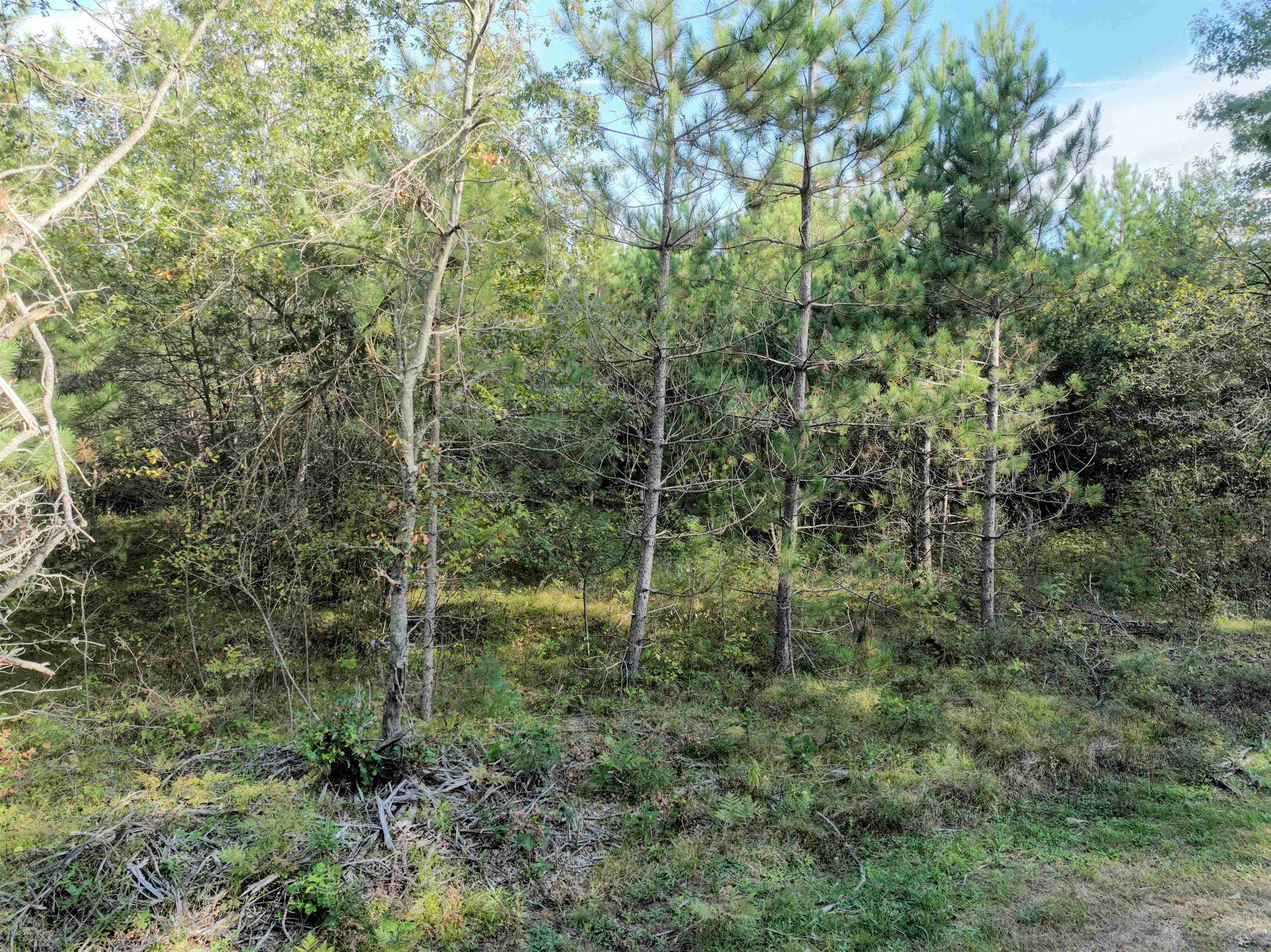 Lot 3 Scout Road Mosinee, WI 54455 - Photo 7 of 8 Gallery Image 7