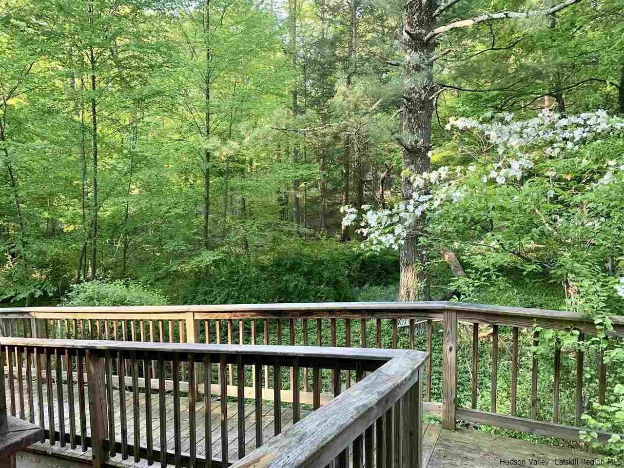 33 William White Rifton, NY 12471 - Photo 17 of 22 Photo 17