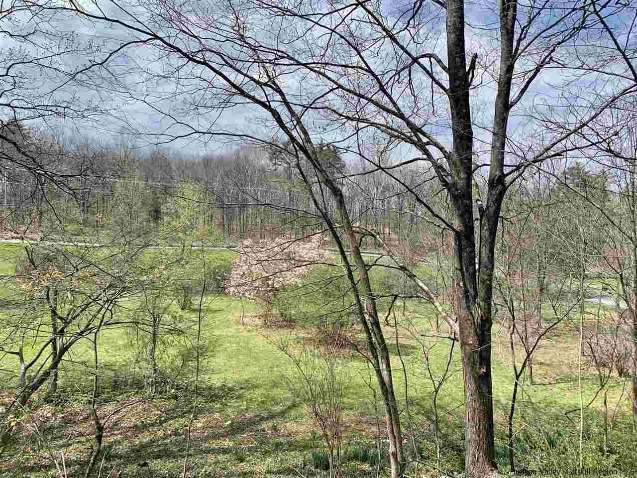 33 William White Rifton, NY 12471 - Photo 21 of 22 Photo 21