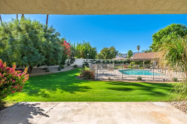 a view of a swimming pool with a garden and plants