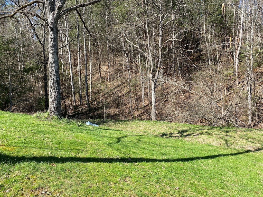 0 Little Cove Church Road Sevierville, TN 37862 - Photo 27 of 41 Gallery Image 27