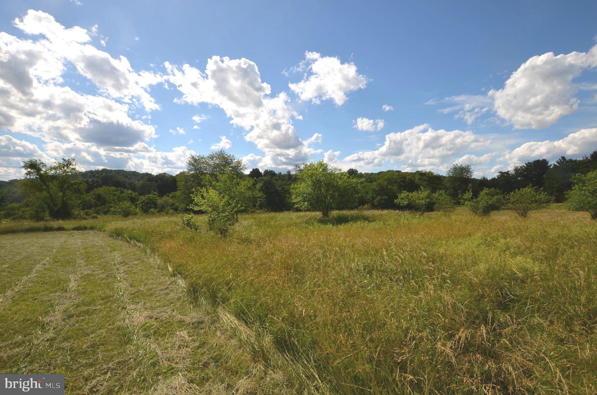 1233 Mason Dixon Road Gettysburg, PA 17325 - Photo 14 of 19