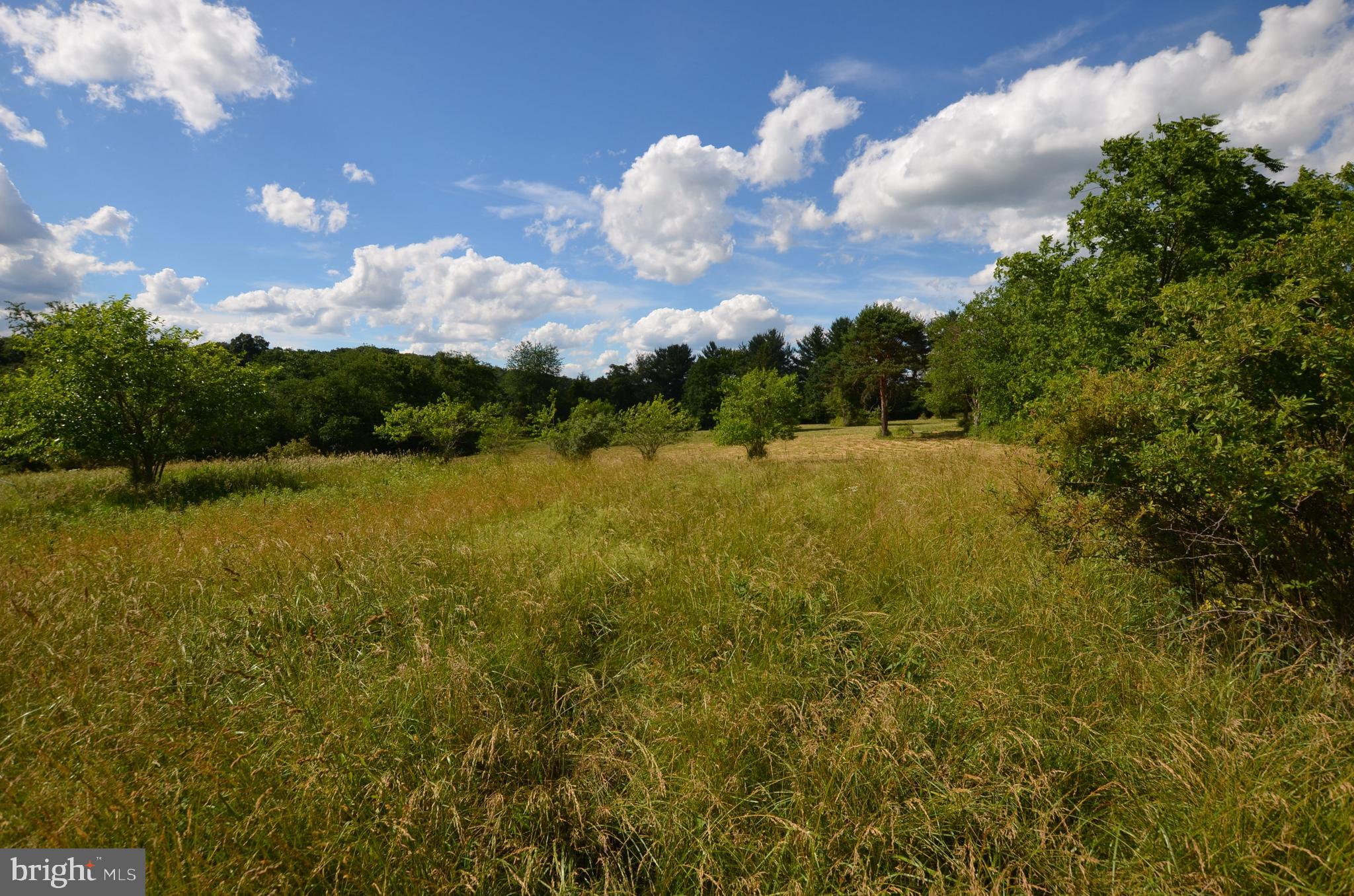 1233 Mason Dixon Road Gettysburg, PA 17325 - Photo 15 of 19