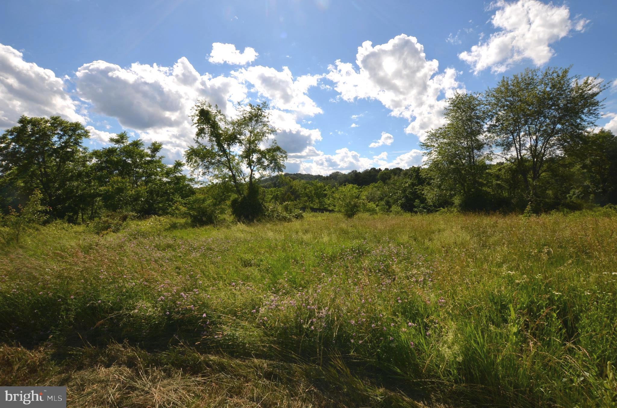 1233 Mason Dixon Road Gettysburg, PA 17325 - Photo 17 of 19
